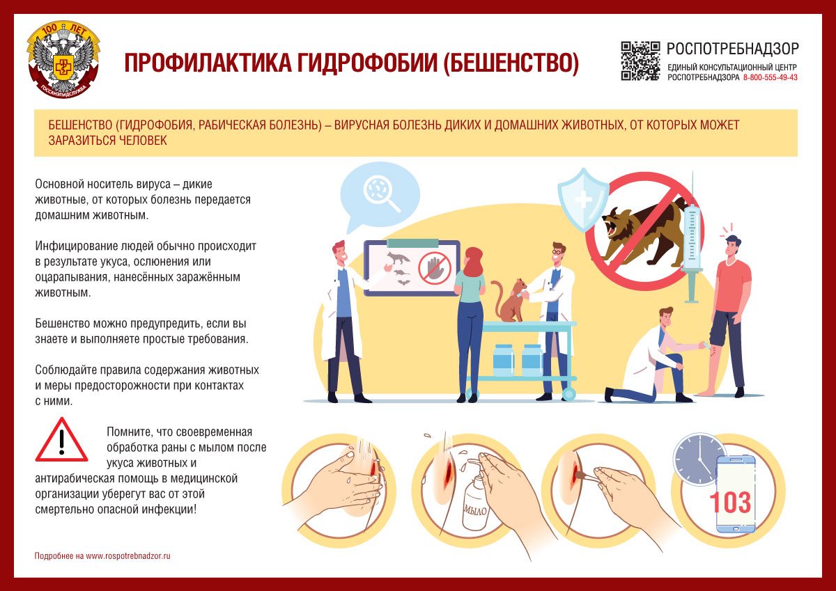 ОСТОРОЖНО! БЕШЕНСТВО! ОСТОРОЖНО! БЕШЕНСТВО!